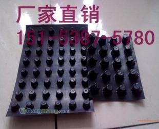 渭南屋面種植隔根板與園林綠化排水板 綠色建筑的關(guān)鍵組件